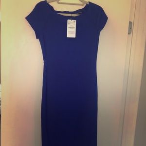 Zara cobalt blue tea length dress-brand new